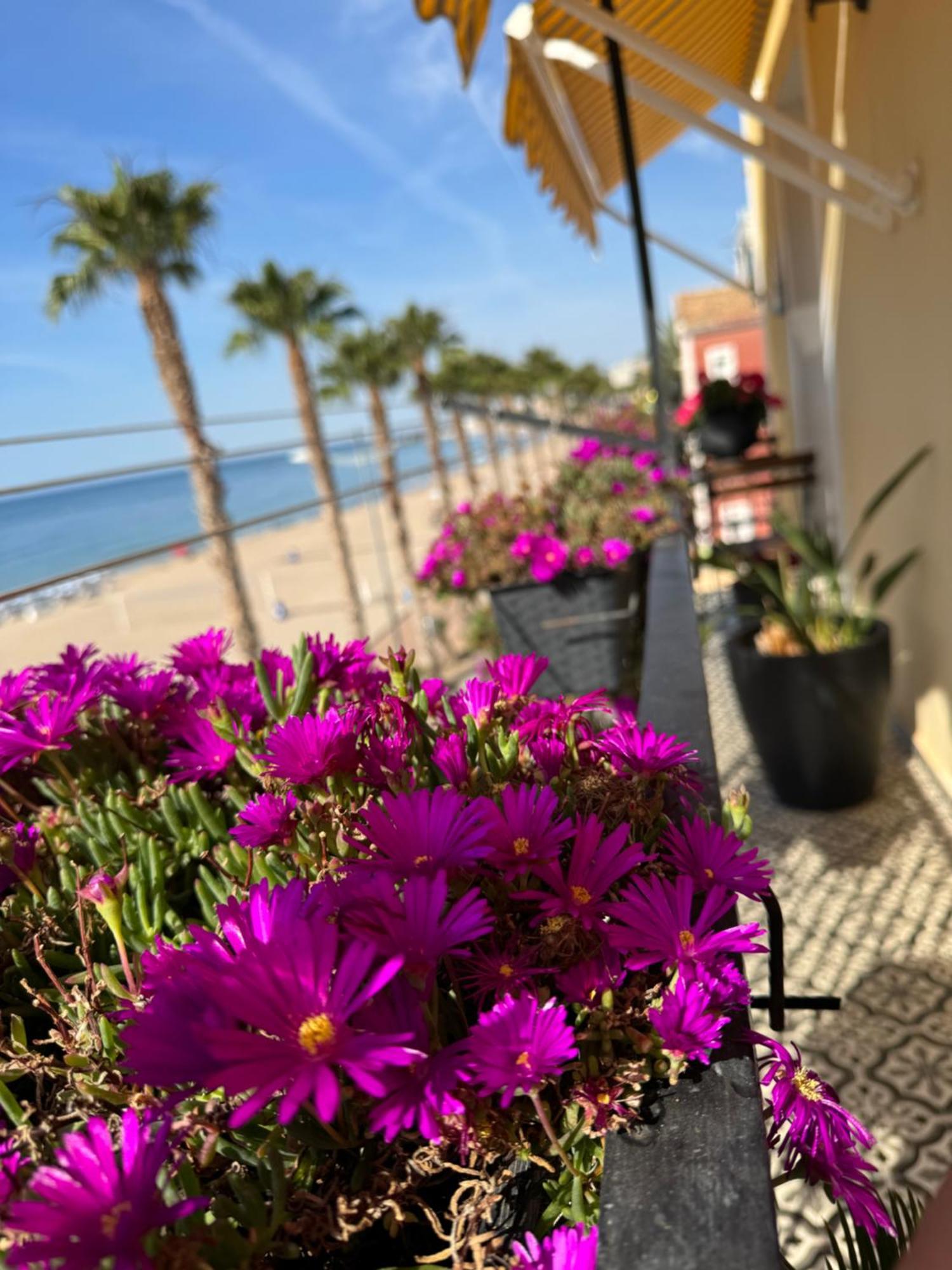Apartamento Las Flores Вильяхойоса Экстерьер фото